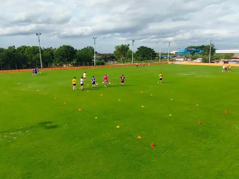สนามฟุตบอล Topgold Arena